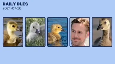 This is the thumbnail for the video titled 'The Gosling Mix-up (Daily Dles)'